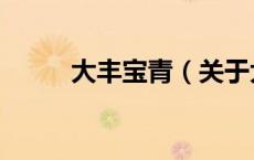 大丰宝青（关于大丰宝青的介绍）