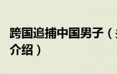 跨国追捕中国男子（关于跨国追捕中国男子的介绍）
