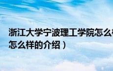 浙江大学宁波理工学院怎么样（关于浙江大学宁波理工学院怎么样的介绍）