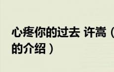 心疼你的过去 许嵩（关于心疼你的过去 许嵩的介绍）