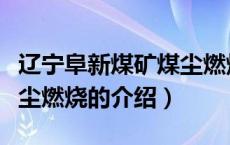 辽宁阜新煤矿煤尘燃烧（关于辽宁阜新煤矿煤尘燃烧的介绍）