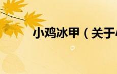 小鸡冰甲（关于小鸡冰甲的介绍）