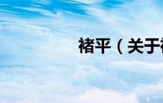 褚平（关于褚平的介绍）
