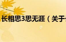 长相思3思无涯（关于长相思3思无涯的介绍）