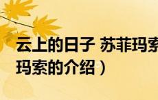 云上的日子 苏菲玛索（关于云上的日子 苏菲玛索的介绍）
