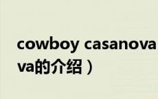 cowboy casanova（关于cowboy casanova的介绍）