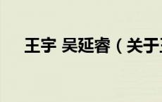 王宇 吴延睿（关于王宇 吴延睿的介绍）