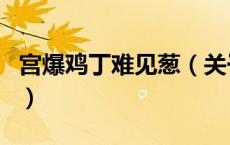宫爆鸡丁难见葱（关于宫爆鸡丁难见葱的介绍）