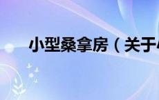 小型桑拿房（关于小型桑拿房的介绍）