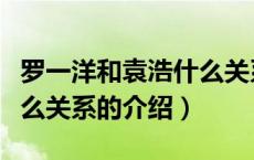 罗一洋和袁浩什么关系（关于罗一洋和袁浩什么关系的介绍）