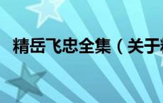 精岳飞忠全集（关于精岳飞忠全集的介绍）