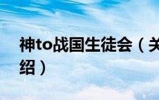 神to战国生徒会（关于神to战国生徒会的介绍）