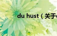 du hust（关于du hust的介绍）