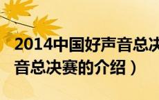 2014中国好声音总决赛（关于2014中国好声音总决赛的介绍）