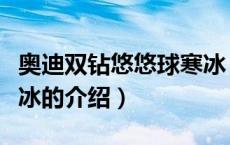 奥迪双钻悠悠球寒冰（关于奥迪双钻悠悠球寒冰的介绍）