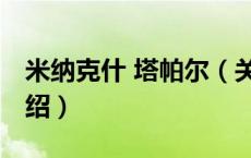 米纳克什 塔帕尔（关于米纳克什 塔帕尔的介绍）