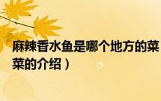麻辣香水鱼是哪个地方的菜（关于麻辣香水鱼是哪个地方的菜的介绍）