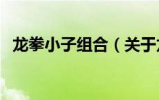 龙拳小子组合（关于龙拳小子组合的介绍）