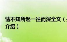 情不知所起一往而深全文（关于情不知所起一往而深全文的介绍）