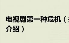 电视剧第一种危机（关于电视剧第一种危机的介绍）