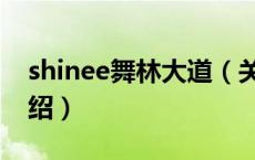 shinee舞林大道（关于shinee舞林大道的介绍）