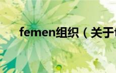 femen组织（关于femen组织的介绍）