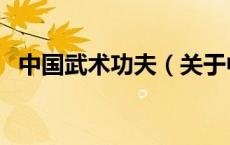 中国武术功夫（关于中国武术功夫的介绍）