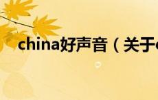 china好声音（关于china好声音的介绍）