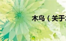 木鸟（关于木鸟的介绍）
