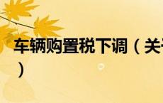 车辆购置税下调（关于车辆购置税下调的介绍）