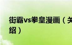 街霸vs拳皇漫画（关于街霸vs拳皇漫画的介绍）