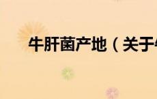 牛肝菌产地（关于牛肝菌产地的介绍）