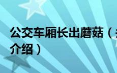 公交车厢长出蘑菇（关于公交车厢长出蘑菇的介绍）