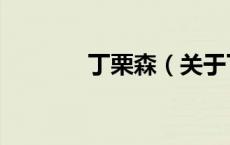 丁栗森（关于丁栗森的介绍）