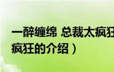 一醉缠绵 总裁太疯狂（关于一醉缠绵 总裁太疯狂的介绍）