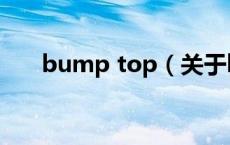 bump top（关于bump top的介绍）