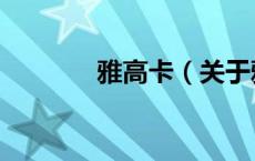 雅高卡（关于雅高卡的介绍）
