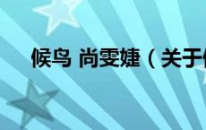 候鸟 尚雯婕（关于候鸟 尚雯婕的介绍）