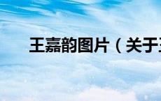 王嘉韵图片（关于王嘉韵图片的介绍）