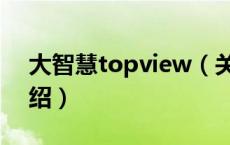 大智慧topview（关于大智慧topview的介绍）