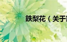 鉄梨花（关于鉄梨花的介绍）