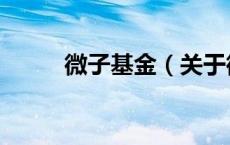 微子基金（关于微子基金的介绍）