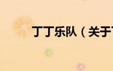 丁丁乐队（关于丁丁乐队的介绍）