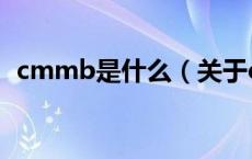 cmmb是什么（关于cmmb是什么的介绍）