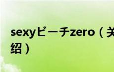 sexyビーチzero（关于sexyビーチzero的介绍）