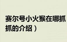 赛尔号小火猴在哪抓（关于赛尔号小火猴在哪抓的介绍）