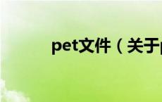 pet文件（关于pet文件的介绍）