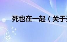 死也在一起（关于死也在一起的介绍）