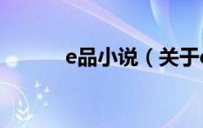 e品小说（关于e品小说的介绍）