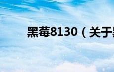 黑莓8130（关于黑莓8130的介绍）